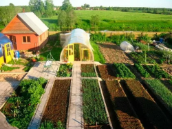 В Прикамье участники и ветераны СВО получат по 3 млн рублей на фермерское хозяйство